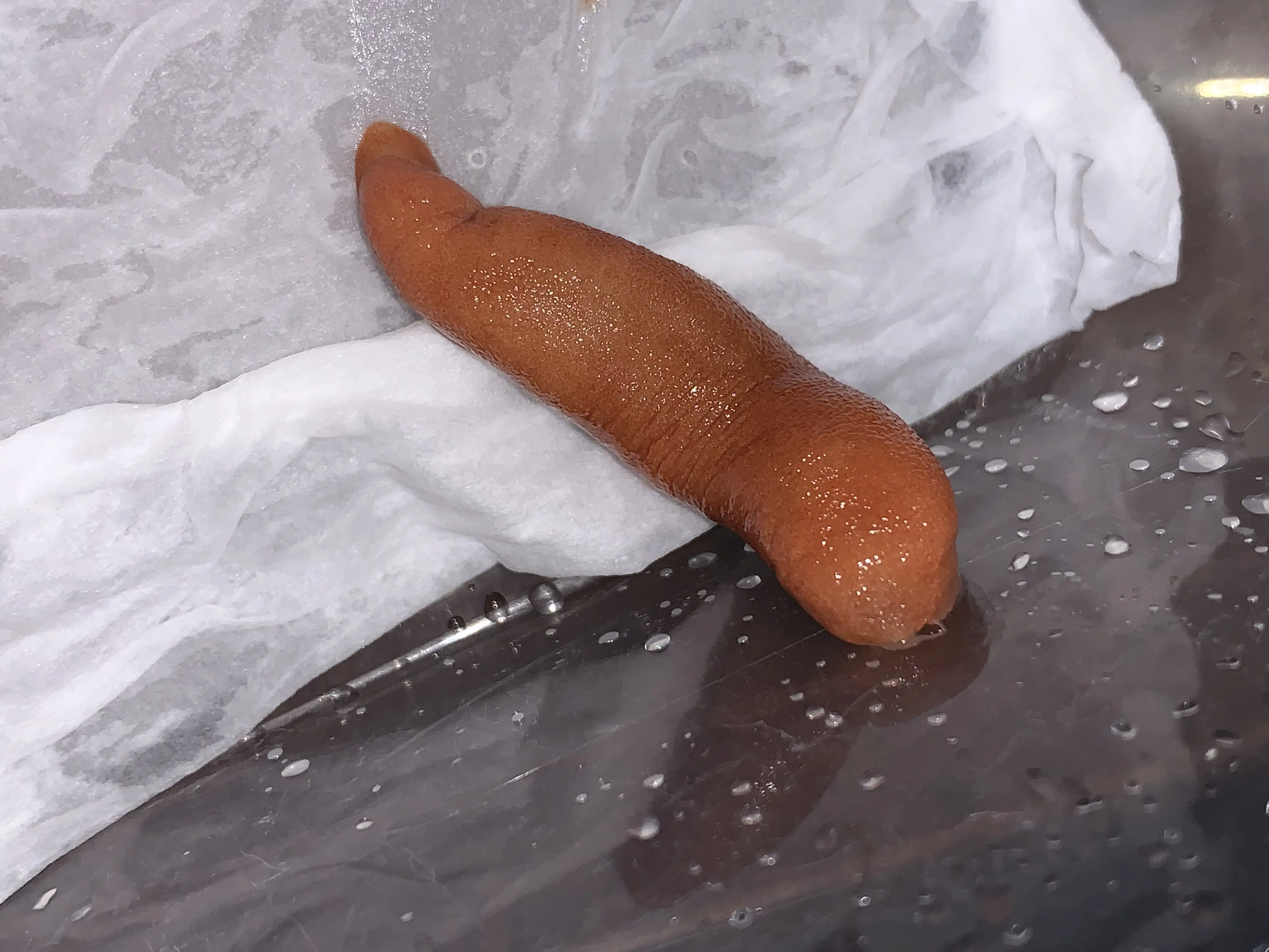 鈊袽臰塰蘤妚侢開灬-九游电竞