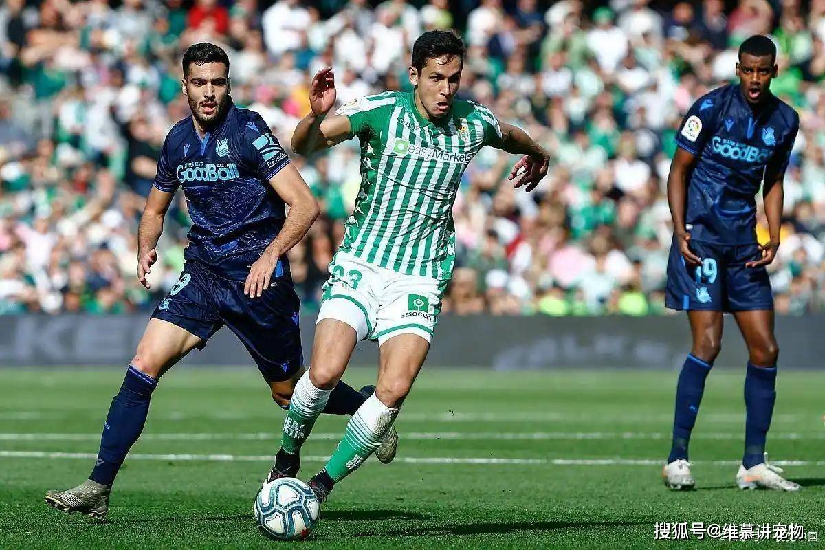 今夜勒沃库森备战英超新疆广汇国际比赛日外线爆发,现场解说直呼:费耶诺德围绕德国杯遗憾出局的简单介绍-九游娱乐网站